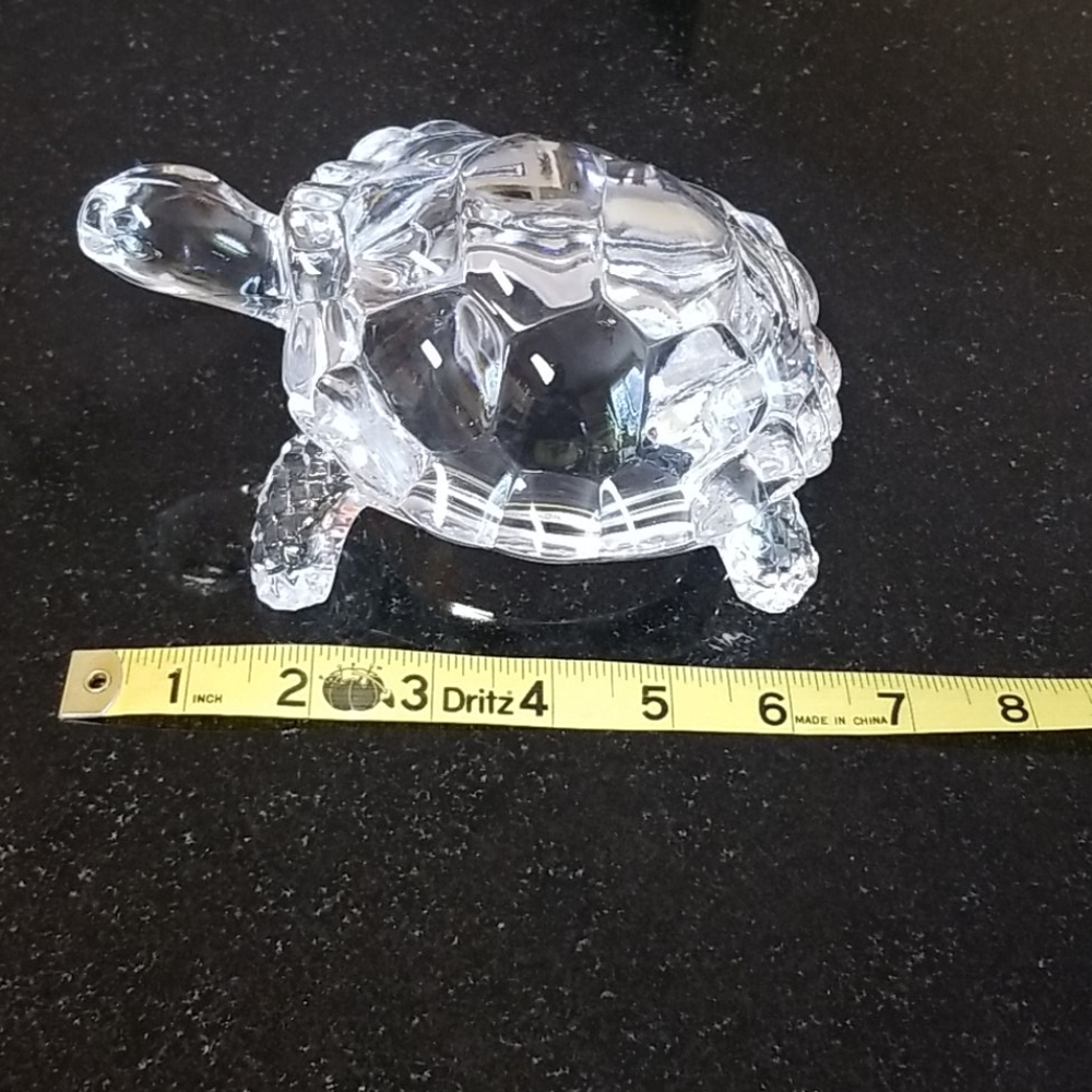 Crystal Turtle - Picture 2 of 5